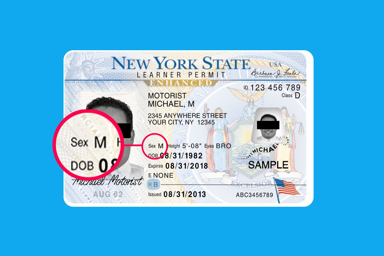 Fake Ids Slate Nyc